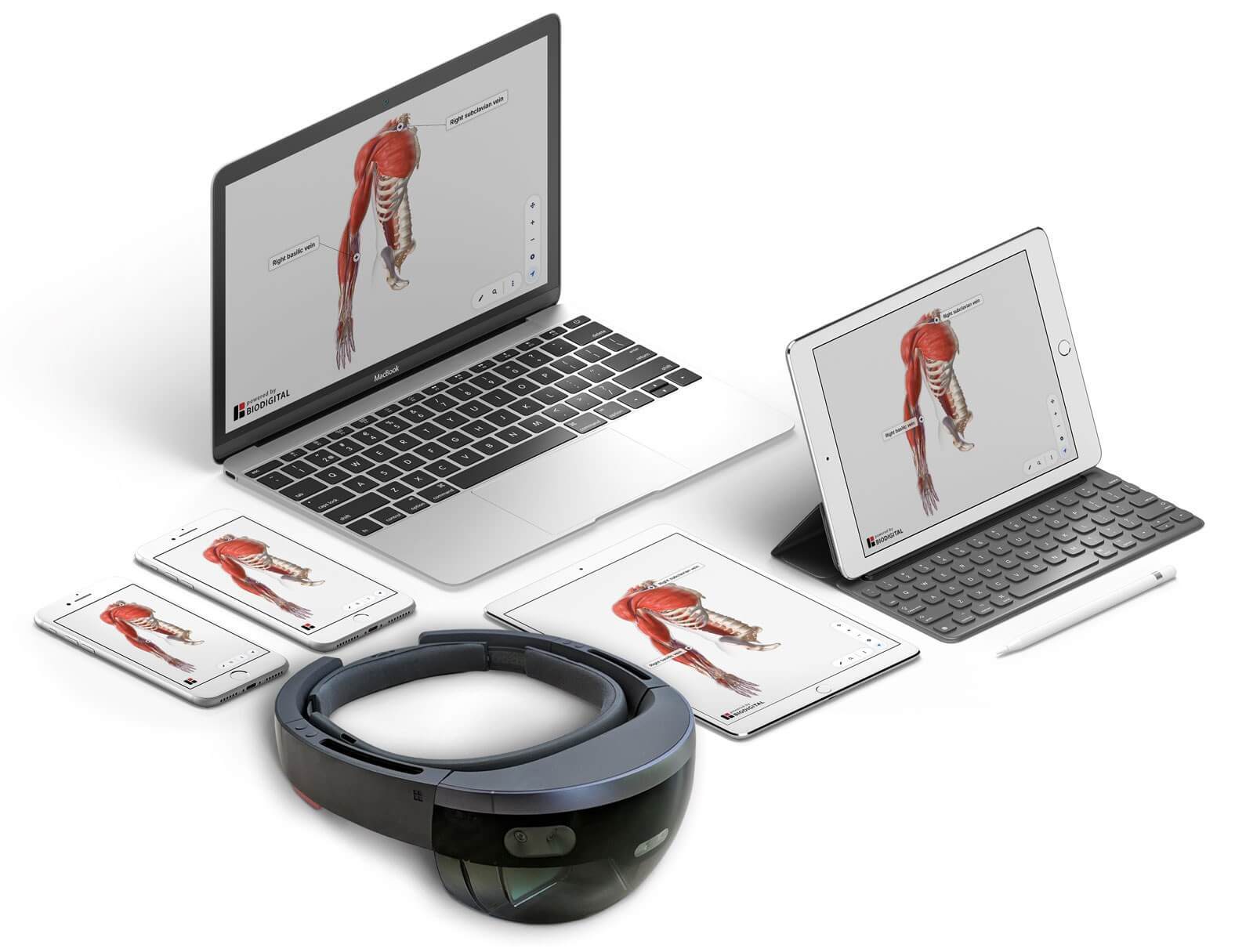 title=Interactive 3D 168飞艇历史记录+官方记录查询结果 human anatomy model displayed on multiple devices including laptop, tablet, smartphone, and VR headset using BioDigital 幸运168飞行艇历史记录查询结果体彩网 Human platform.